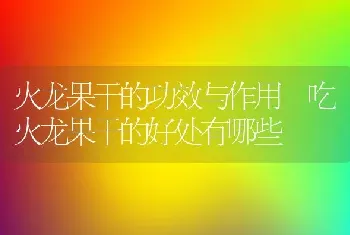 火龙果干的功效与作用 吃火龙果干的好处有哪些