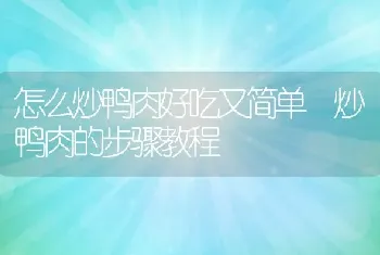 怎么炒鸭肉好吃又简单 炒鸭肉的步骤教程