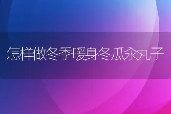 怎样做冬季暖身冬瓜汆丸子