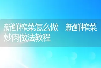 新鲜榨菜怎么做 新鲜榨菜炒肉做法教程