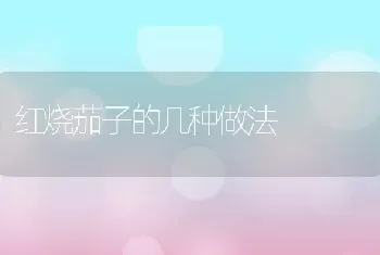 红烧茄子的几种做法