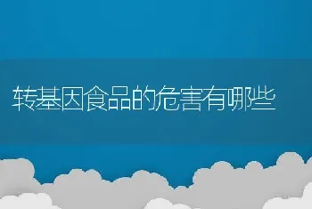 转基因食品的危害有哪些