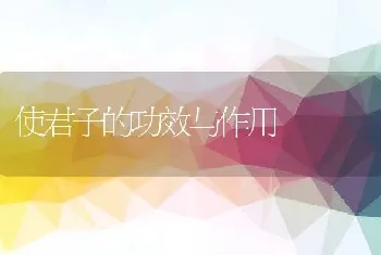 使君子的功效与作用