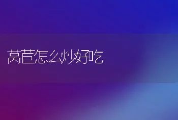 莴苣怎么炒好吃