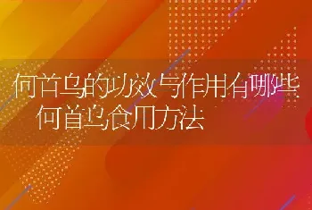 何首乌的功效与作用有哪些 何首乌食用方法