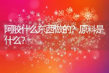 阿胶什么东西做的？原料是什么？