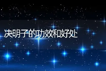 决明子的功效和好处