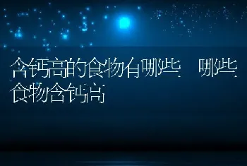 含钙高的食物有哪些 哪些食物含钙高