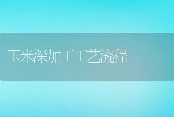 玉米深加工工艺流程