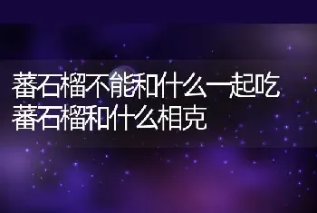 蕃石榴不能和什么一起吃 蕃石榴和什么相克