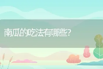 南瓜的吃法有哪些？