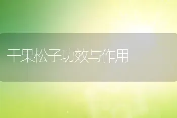 干果松子功效与作用