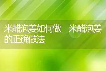 米醋泡姜如何做 米醋泡姜的正确做法