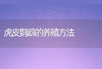 虎皮鹦鹉的养殖方法