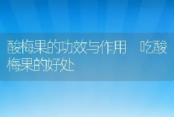 酸梅果的功效与作用 吃酸梅果的好处