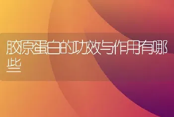 胶原蛋白的功效与作用有哪些