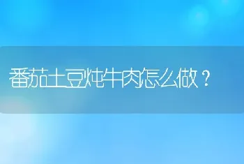 番茄土豆炖牛肉怎么做？