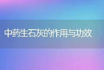 中药生石灰的作用与功效