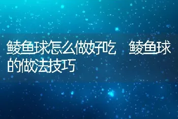 鲮鱼球怎么做好吃 鲮鱼球的做法技巧