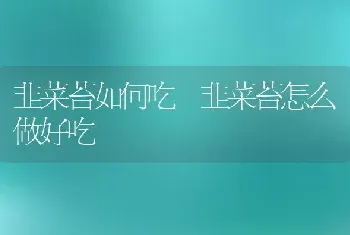 韭菜苔如何吃 韭菜苔怎么做好吃