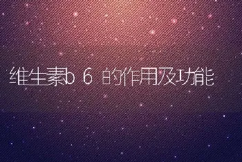 维生素b6的作用及功能