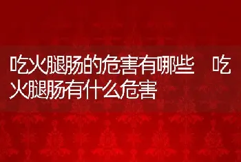 吃火腿肠的危害有哪些 吃火腿肠有什么危害