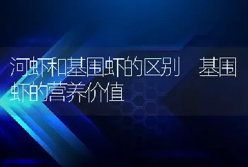 河虾和基围虾的区别 基围虾的营养价值