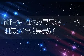 锁阳怎么吃效果最好 干锁阳怎么吃效果最好