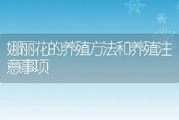 娜丽花的养殖方法和养殖注意事项