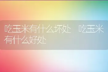 吃玉米有什么坏处 吃玉米有什么好处