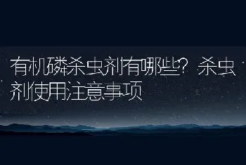 有机磷杀虫剂有哪些？杀虫剂使用注意事项