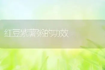 红豆紫薯粥的功效