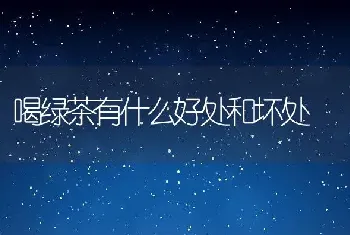 喝绿茶有什么好处和坏处