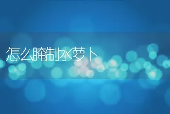 怎么腌制水萝卜