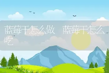 蓝莓干怎么做 蓝莓干怎么吃