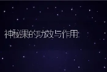 神秘果的功效与作用