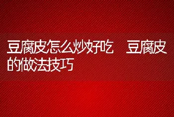 豆腐皮怎么炒好吃 豆腐皮的做法技巧