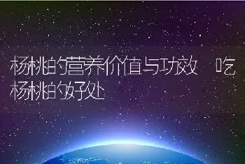 杨桃的营养价值与功效 吃杨桃的好处