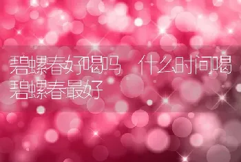 碧螺春好喝吗 什么时间喝碧螺春最好