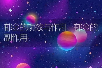 郁金的功效与作用 郁金的副作用