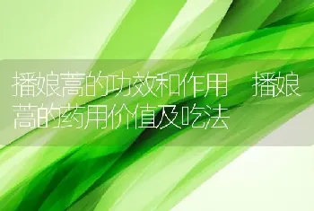 播娘蒿的功效和作用 播娘蒿的药用价值及吃法