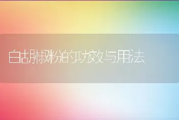 白胡椒粉的功效与用法