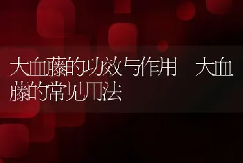 大血藤的功效与作用 大血藤的常见用法