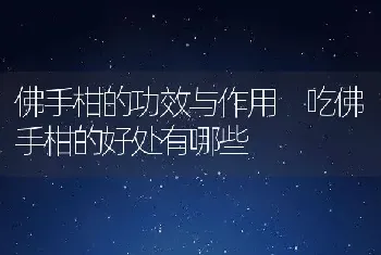 佛手柑的功效与作用 吃佛手柑的好处有哪些