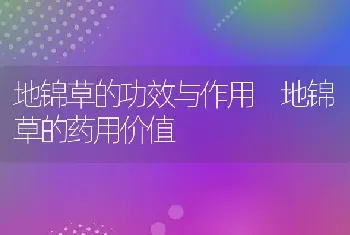 地锦草的功效与作用 地锦草的药用价值