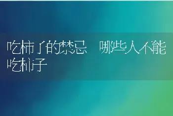 吃柿子的禁忌 哪些人不能吃柿子