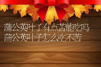 蒲公英叶子有点苦能吃吗 蒲公英叶子怎么吃不苦