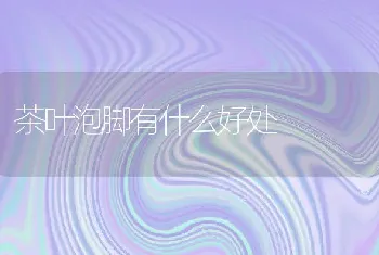 茶叶泡脚有什么好处