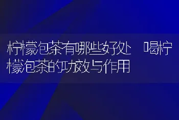 柠檬泡茶有哪些好处 喝柠檬泡茶的功效与作用