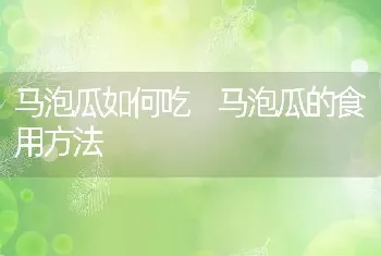 马泡瓜如何吃 马泡瓜的食用方法